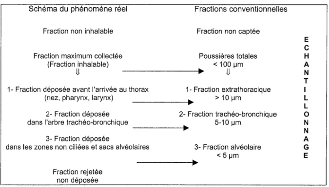 Tableau 9 : Parallèle entre la pénétration dans les voies respiratoires  et les fractions conventionnelles obtenues par échantillonnage