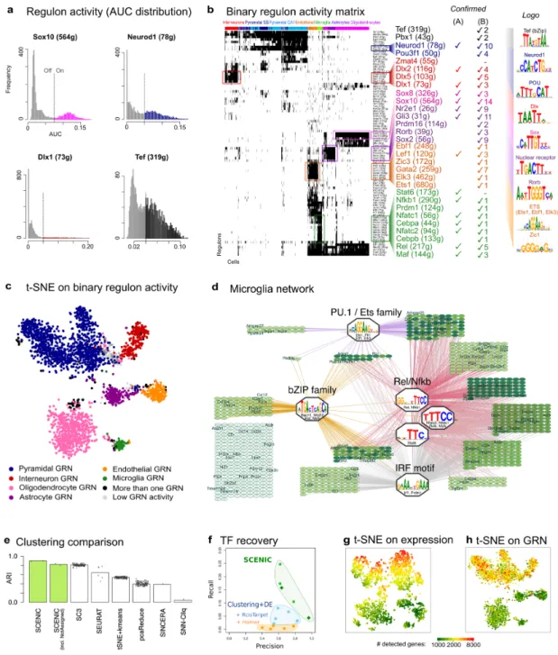 Figure 2. SCENIC analysis of the mouse brain. (a) AUC histograms for a few key regulons