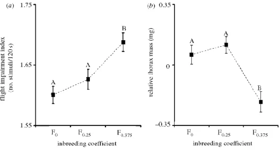 Figure 2. The effect of inbreeding on the general condition of butterflies, (a) Flight impairment index and (6)  relative thorax mass are significantly affected by severe (F 0.375 ) inbreeding