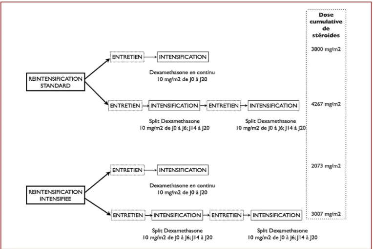 Figure 1. Randomisation pour le mode d’administration des corticostéroïdes selon le CCG 1691