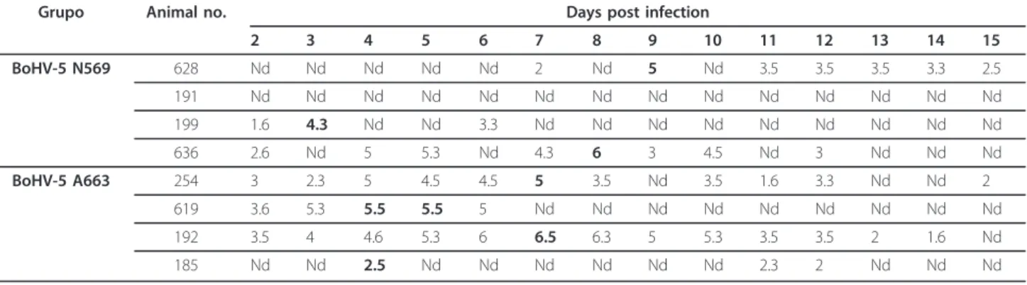 Table 2 Data obtained from calves (n = 8) experimentally inoculated with A663 and N569 strains of bovine herpesvirus (BoHV) 5