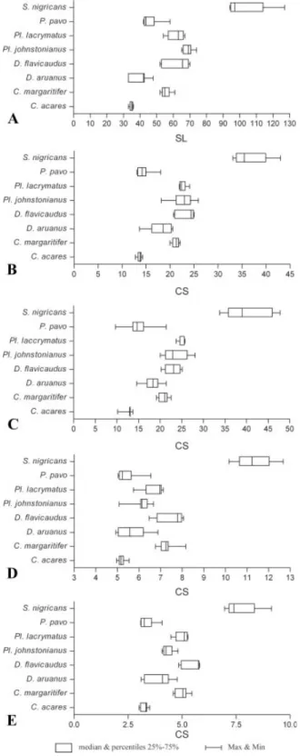 Fig. 2. Box plots of (A) the standard length, SL and (B–E) the centroid size, CS of each skeletal unit for all studied  spe-cies; (B) the neurocranium, (C) the ‘‘suspensorium and opercle’’