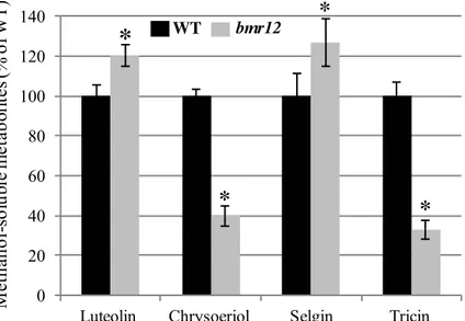 Fig 2. Quantification of methanol-soluble luteolin, chrysoeriol, selgin, and tricin extracted from the biomass of wild-type (WT) and bmr12 sorghum lines