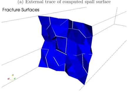 Fig. 8. External and internal views of the computed spall surface