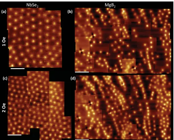 FIG. 1. (Color online) Scanning Hall probe microscopy images after performing an FC at 1 Oe for the (a) NbSe 2 and (b) MgB 2 single crystals; and after doing FC at 2 Oe for (c) NbSe 2 and (d) MgB 2 single crystals