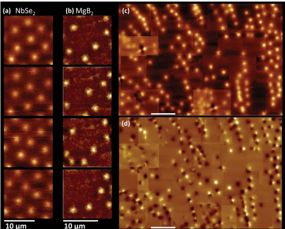 FIG. 3. (Color online) Four successive FCs at 0.9 Oe for (a) NbSe 2 and (b) MgB 2 single crystals