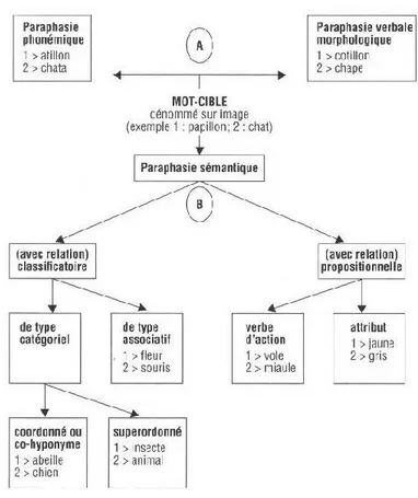 Figure 5: Classification des paraphasies - en A: paraphasies relevant d'un désordre de 2e  articulation; en B: paraphasies relevant d'un désordre de 1e articulation -  21