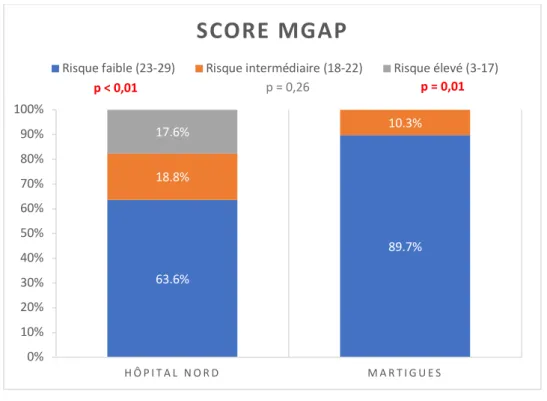 Figure 2 – Score MGAP 