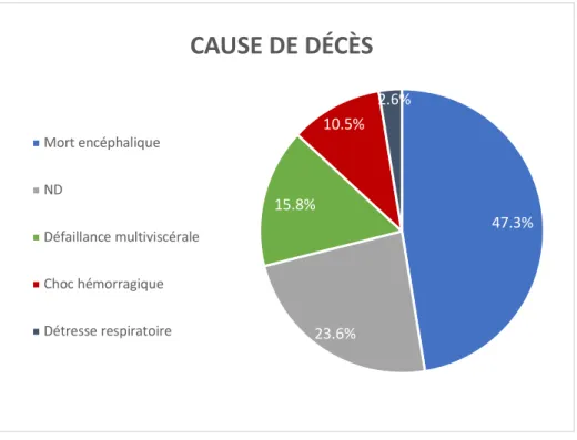 Figure 4 – Causes de décès  