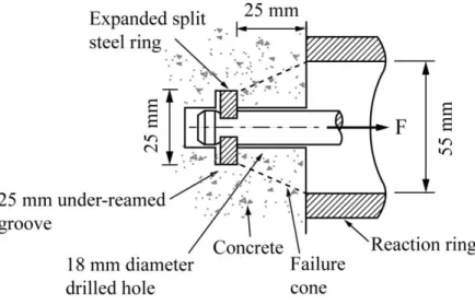 Fig. 2 – Pullout - Capo test [13] 