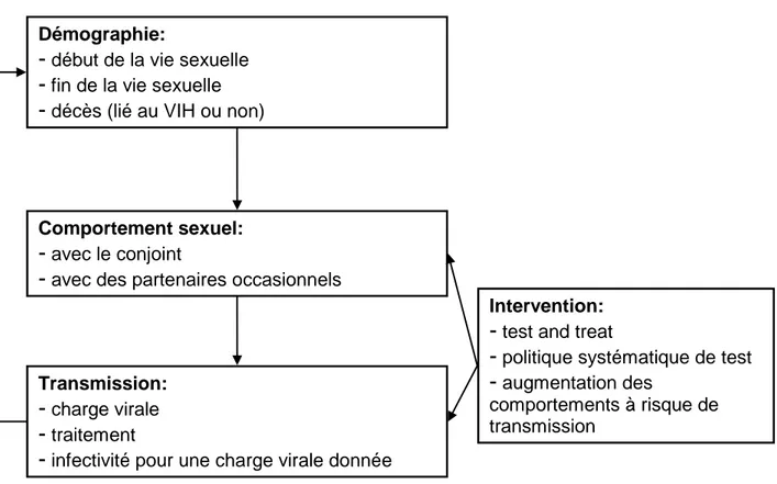 Figure 1 : Diagramme décrivant le modèle de micro-simulation mis en place pour HomoSid 