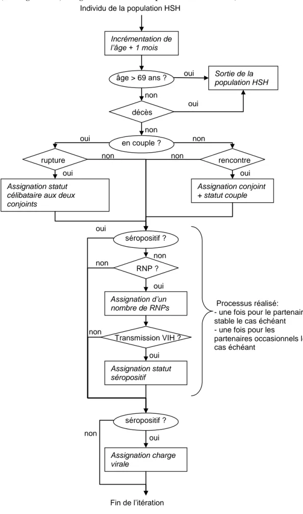 Figure 2 : Diagramme décrivant le parcours d’un individu au cours d’une itération de la micro-simulation  ( rectangle=action, triangle=intervention d’une probabilité de transition)  