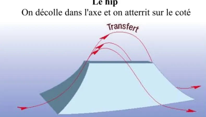 Figure 2 : Le Hip  Source  « Mémento de l’enseignement du ski français », année 2006