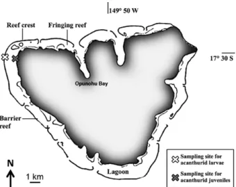 Fig. 1. – Map of Moorea (French Polynesia). The sampling sites are  the same as in Frédérich et al