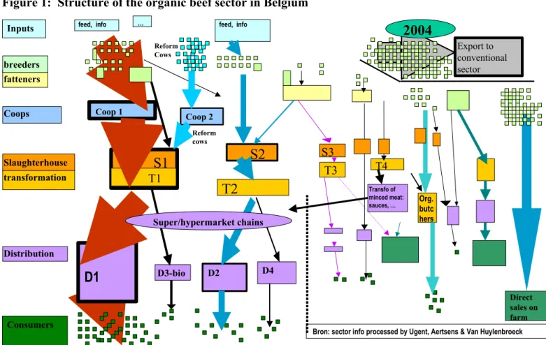 Figure 1:  Structure of the organic beef sector in Belgium 