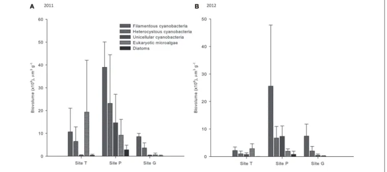 FIGURE 3 | Biovolume of microbial phototrophs per 1 g of dry soil in the samples collected in 2011 (A) and 2012 (B).
