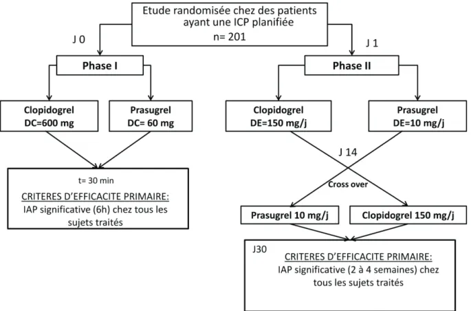 Figure 21 : Schéma de l’étude PRINCIPLE–TIMI 44. 