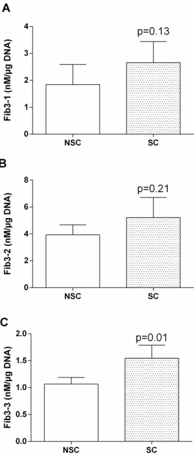 Fig 5. (A) Fib3-1, (B) Fib3-2 and (C) Fib3-3 levels found in osteoblasts cell culture supernatant