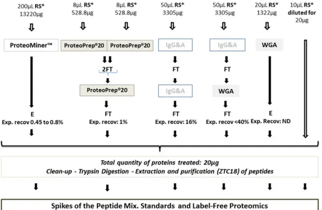 Fig. 1. Experimental workﬂow detailing the commercial prefractionation and other processing steps applied to the RS* pool.