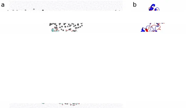 Figure 8. (a) Atomistic representation of the octamer of WZA inserted in the membrane