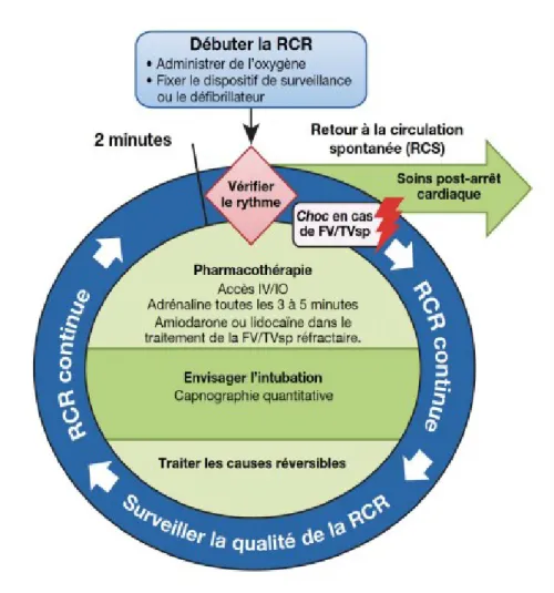 Figure 2 :  Algorithme circulaire de l'arrêt cardiaque chez l'adulte- mise à jour 2018 des recommandations de l'ERC