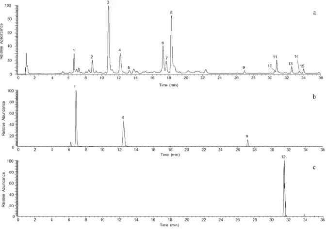 Figure 2. UHPLC chromatograms: (a) UV (λ 280 nm); (b) SRM for procyanidin; (c) SRM  for  rutin