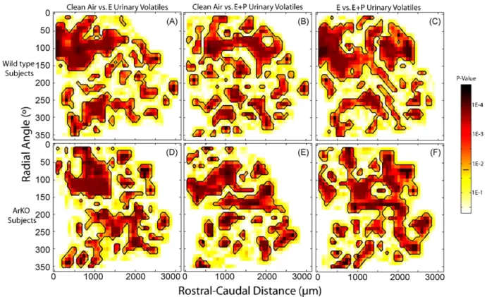 Fig. 3. Regions showing significant differences in glomerular activation in the main olfactory bulb between the contour plots shown in Fig