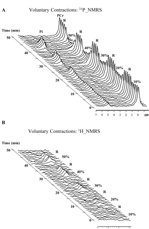 Figure 2.  Voluntary Contractions: PCr 31 P_NMRS Time (min) Pi RRRRR 01020304050 10%20%30%40%50%A Voluntary Contractions: 1 H_NMRS Time (min) RRRRR 01020304050 10%20%30%40%50%B