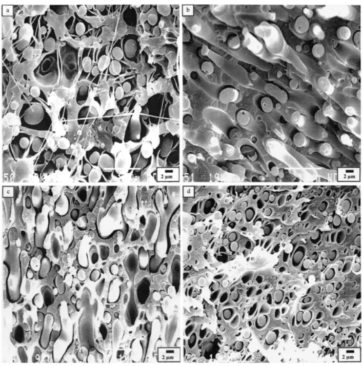 Fig. 2.  Micrographs of fracture surfaces for different blend compositions of PC/PVDF (wt/wt.%), (a) 20/80, (b)  40/60, (c) 60/40 and (d) /80/20 