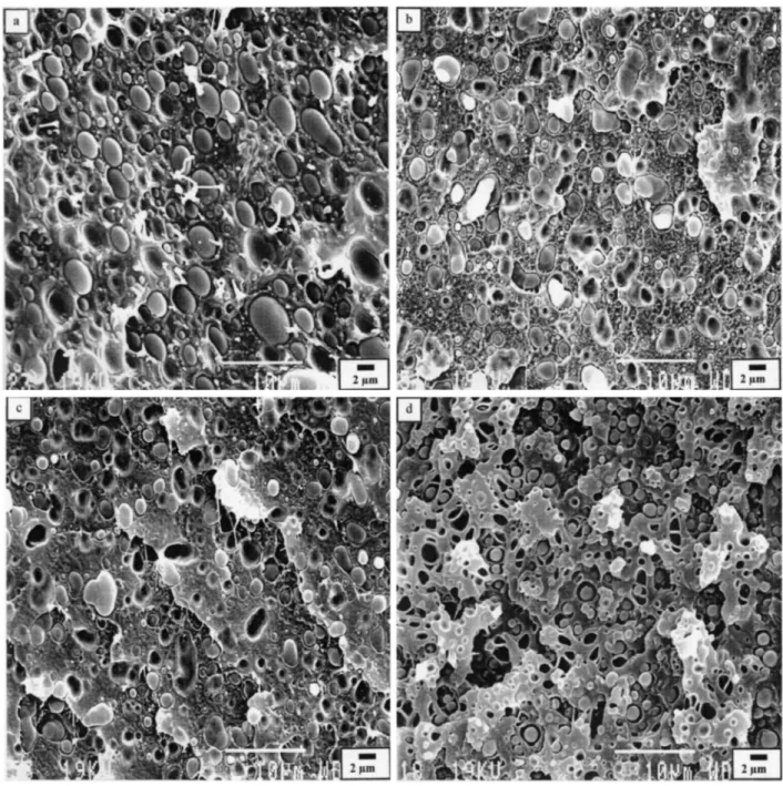 Fig. 3. Micrographs of fracture surfaces for different blend compositions of PC/(PMMA-PVDF) blends of  various compositions, (a) 20/80 PC/(10PMMA-90PVDF), (b) 20/80 PC/(20PMMA-80PVDF), (c) 20/80  PC/(40PMMA-60PVDF), (d) 80/20 PC/(10PMMA-90PVDF), (e) 80/20 