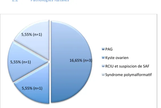 Figure n°1 : Répartition des pathologies fœtales dans la population de Caen 2017-2018  