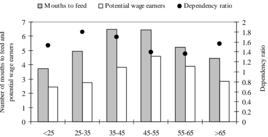 Figure 3. Changes in the dependency ratio per household based on age of head of household  3.3  Land structures 