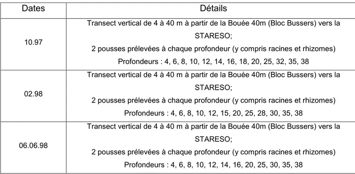 Tableau 4 : Dates et détails des transects verticaux effectués dans l’herbier à posidonies