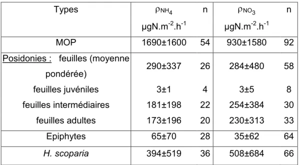 Tableau  10 :  Valeurs  moyennes  (±  écarts-type)  des  flux  d’incorporation  de  nitrate  et  d’ammonium  par  les  producteurs  primaires  de  la  Baie  de  la  Revellata