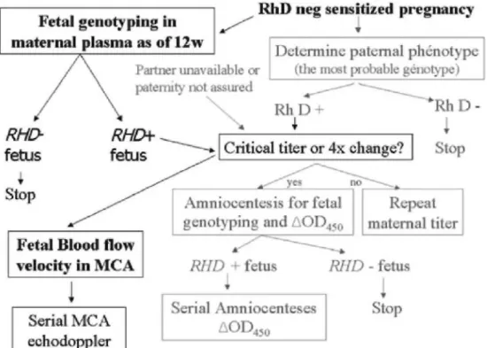 Fig. 1. Algorithm for clinical management of RhD- anti-D-alloimmunized patients in the first affected  pregnancy