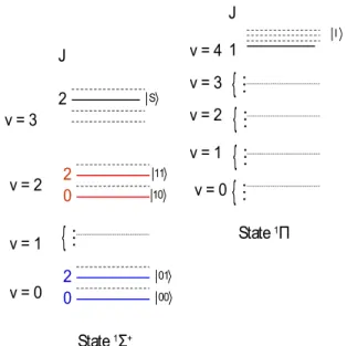 FIG. 9. 共 Color online 兲 Scheme of the qubit states belonging to four different vibrational states for the diatomic example