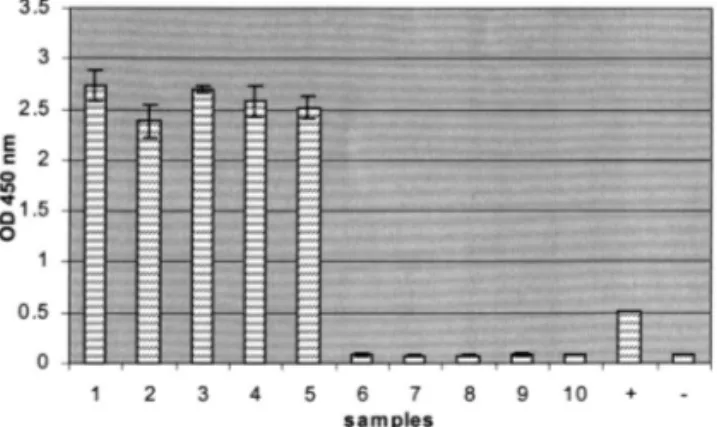 Fig. 4. Detection by a sandwich hybridization in microtiter plate of the PVYF-PVYR4 RT-PCR products amplified from diluted crude sap of N