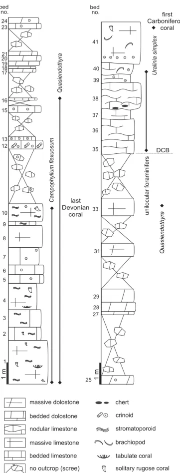 Fig. 4. Detailed lithological column around the D–C boundary (DCB) in  the Topluca section (unit ET-DC in Fig