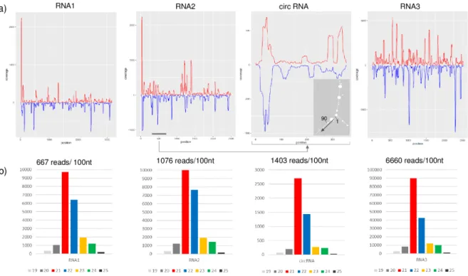 Figure 6. Profiles of GLPV-derived sRNAs. (a) distribution of the GLPV-derived sRNAs on the RNA1,  RNA2, circular RNA and RNA3