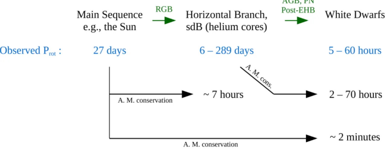 Figure 4. Schematic view of the angular momentum evolution in low-mass stars as revealed by seismic observations (source : Charpinet et al
