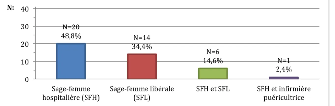 Figure 5: Professionnels impliqués. 