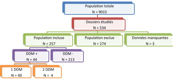 Figure 1 : Population étudiée 