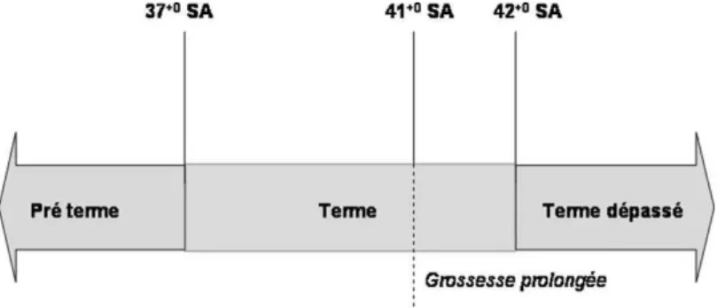 Figure  2 :  Définition  du  terme,  de  la  grossesse  prolongée  et  du  terme  dépassé  d’après Le Ray et al 2011 (1) 