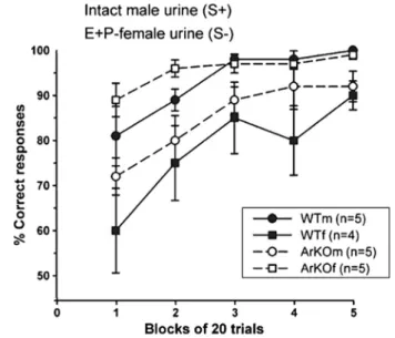 Fig. 9. Gonadectomized, estradiol-treated wild type (WT) and aromatase knock out (ArKO) male (m) and female (f) maintained on a food deprivation schedule were trained in a ‘go, no-go’ task over a series of trials to discriminate between male and estrous fe
