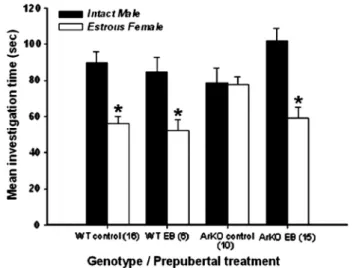 Fig. 11. Wild type female mice that were primed with estradiol followed by progesterone only at the time of adult testing (WT control) preferred to investigate volatile pheromones from a testes-intact male vs