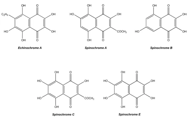 Figure  1.  Structure  of  isolated  E.  mathaei  tests/spines  pigments  collected  in  four  fractions  with    the HPLC. 