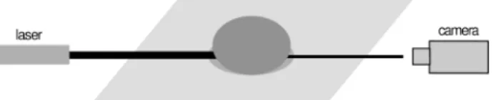 Figure 7 presents two typical evolutions of the precession rate # as a function of time t