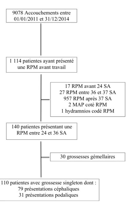 Figure 1 : Flow chart des patientes analysées lors de l’étude épidémiologique 