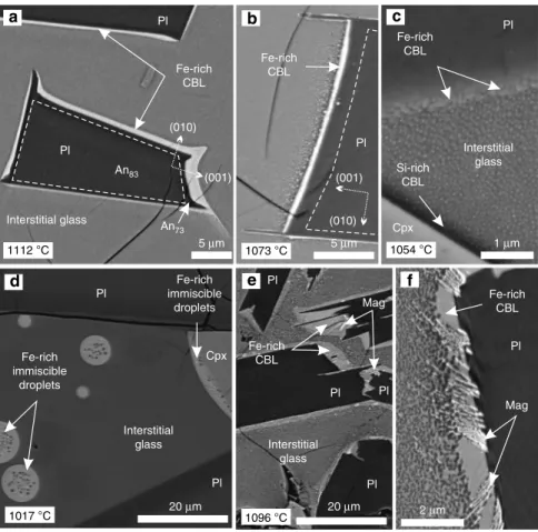 Fig. 1 Compositional boundary layer morphology in BSE images from samples of the 1976 K ī lauea Iki lava lake