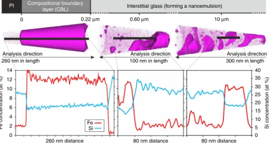 Fig. 3 Three-dimensional reconstruction of atom probe tomography (APT) data from compositional boundary layers around plagioclase
